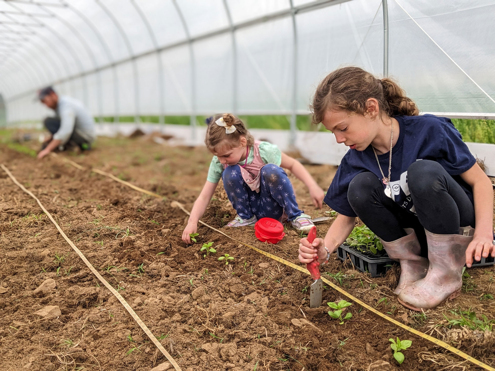 Lindsey Shapiro's daughters, Frankie and Alice, on their Berks County farm