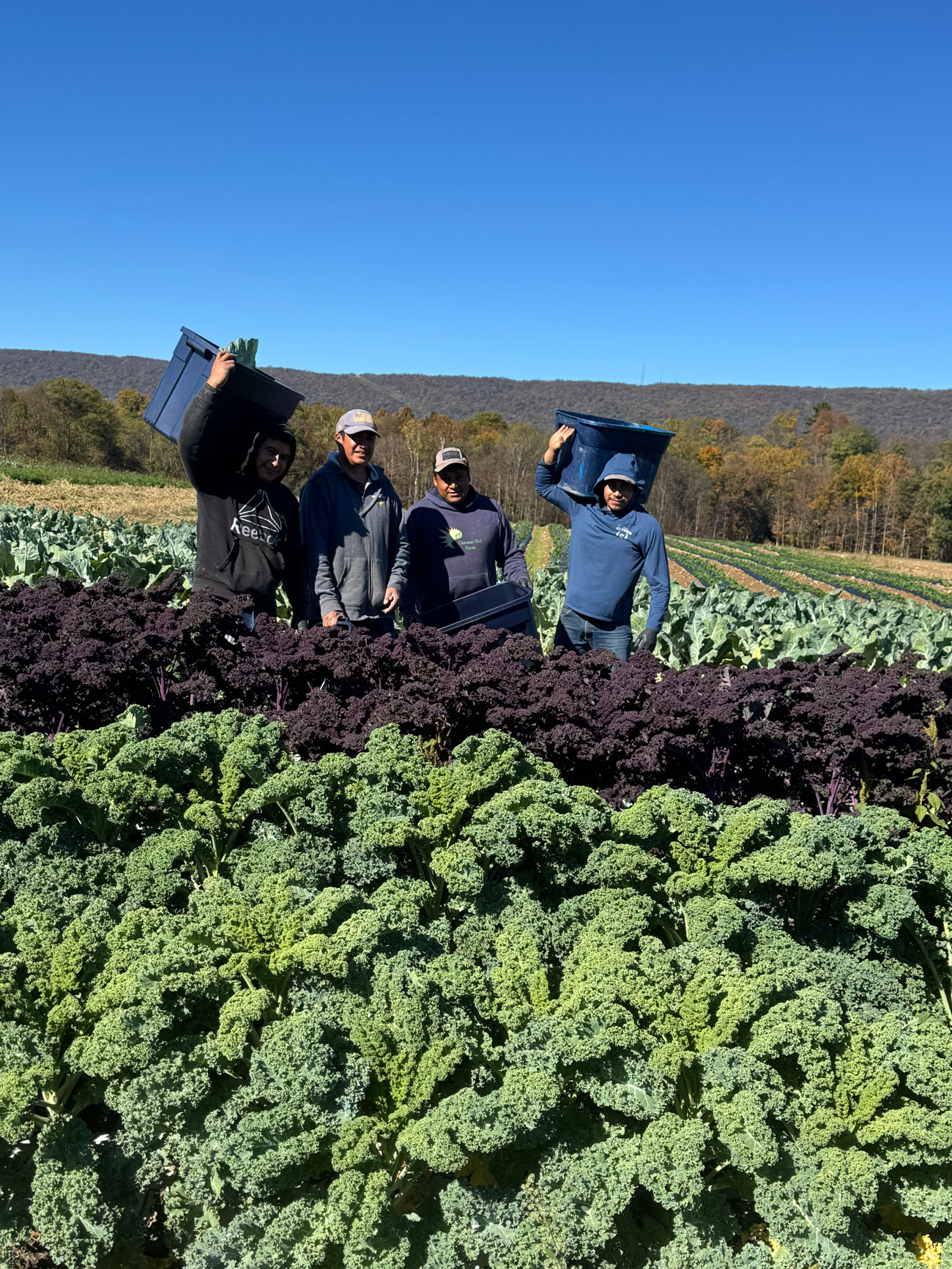 The Chicano Sol crew