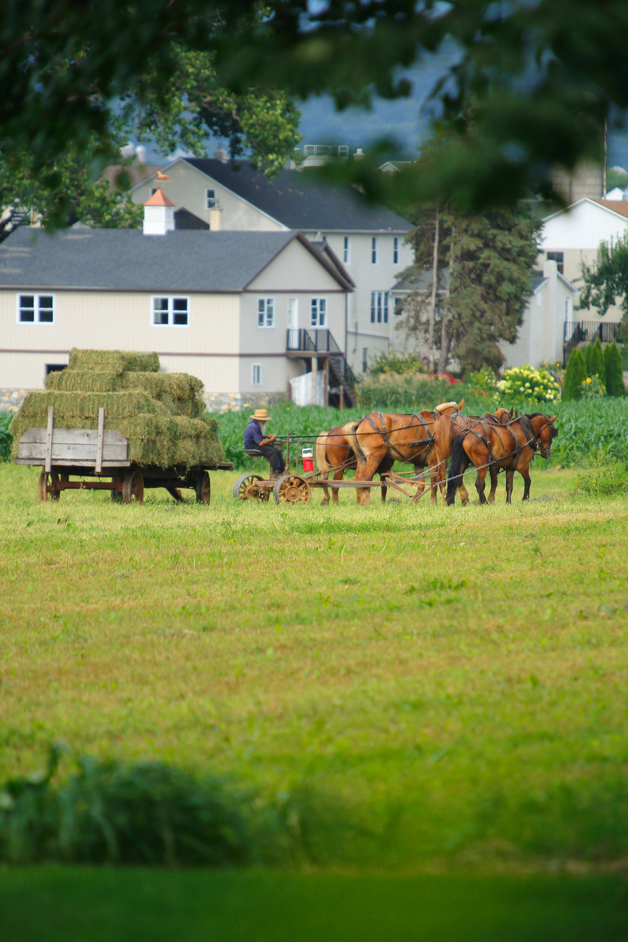 A farmer works in a field in Lancaster, Pennsylvania.